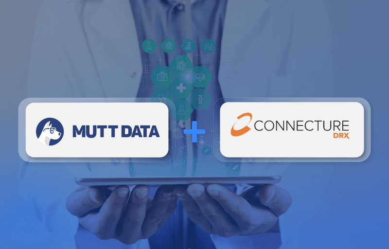 Building a Scalable Marketing & Communication Data Platform for Connecture
