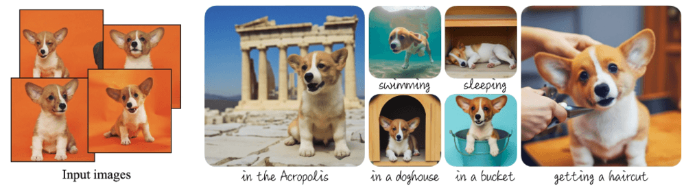 dreambooth examples